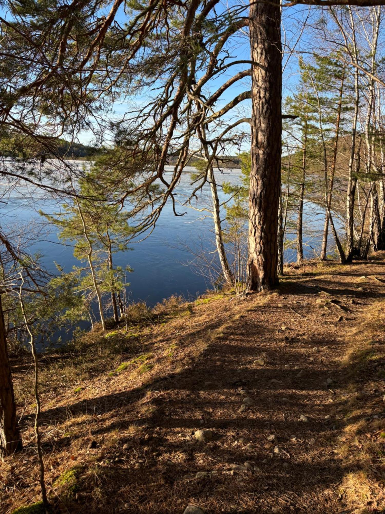 Sjoestugan Söderköping エクステリア 写真