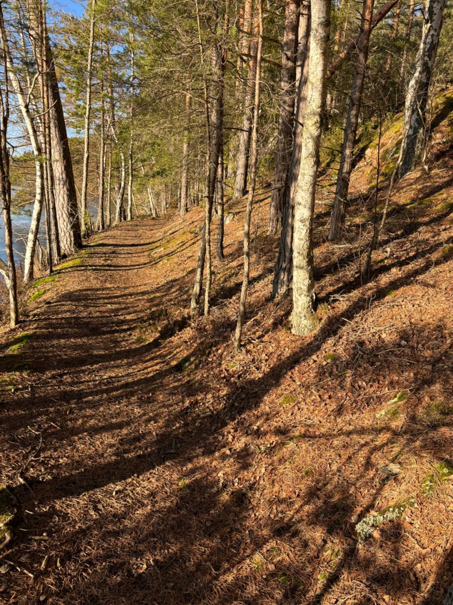 Sjoestugan Söderköping エクステリア 写真